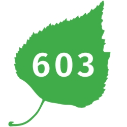 603 Birch Realty-Logo