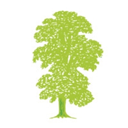 Beech Tree Property Management-Logo