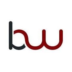 BizWise Realty-Logo