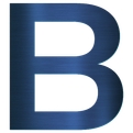 Brookline Real Estate-Logo