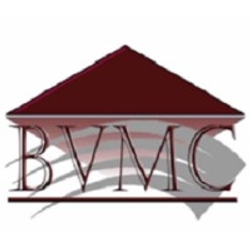 Buena Vista Management Co.-Logo