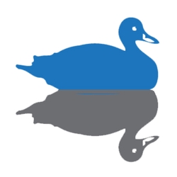 Duck Brothers Real Estate and Property Management-Logo