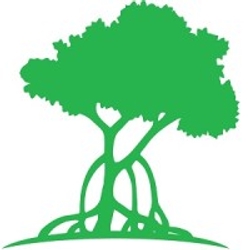 Mangrove Property Management-Logo