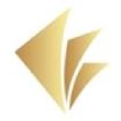 Direct Mortgage Investors, Inc.-Logo
