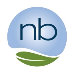 New Branch Real Estate Advisors-Logo