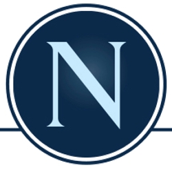 N Property Group-Logo