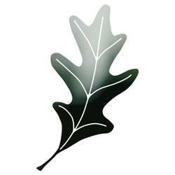 Oak Leaf Management-Logo