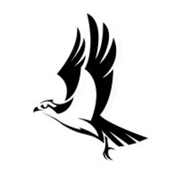 Osprey Management-Logo