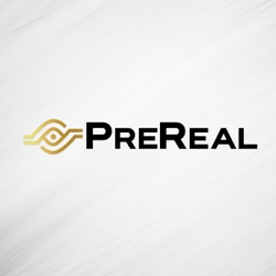 PreReal Prendamano Real Estate-Logo