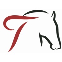 Targa Real Estate Services-Logo