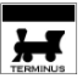 Terminus Real Estate-Logo