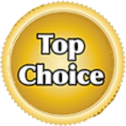 Top Choice Real Estate-Logo