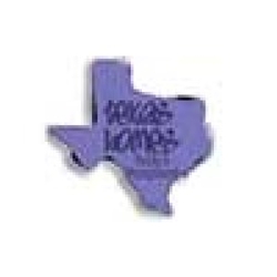 Texas Homes Realty & Property Management-Logo