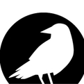 White Crow Real Estate-Logo