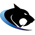 Wildcat Lending - Hard Money Lender-Logo